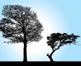 Tree Silhouette vectors graphic