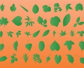 Leaf Vector Silhouettes graphics