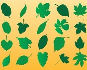 Vector Leaf Silhouette Art set