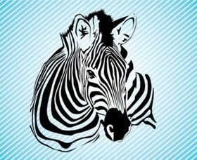 Zebr Graphics set vector