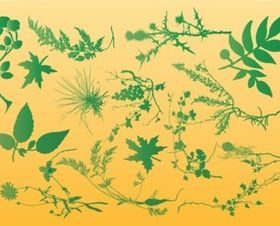 Plants Graphics vector