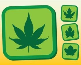 Leafs design vectors