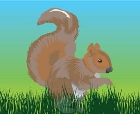 Chipmunk vector graphic