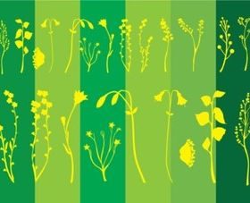 Flower Plants vector