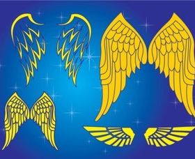 Wings Graphics vector