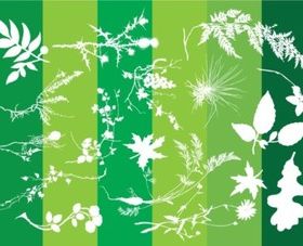 Plants Silhouettes Nature Graphics vector