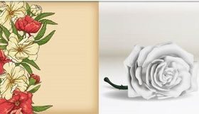 Floral Backgrounds 14 Illustration vector