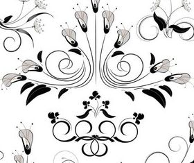 Floral Elements (Set 11) vector
