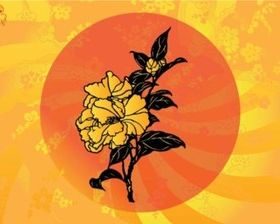 Asian Flowers background vector