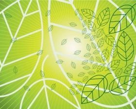 Leaf background Graphics vectors graphic