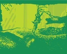 Forest Background Illustration vector