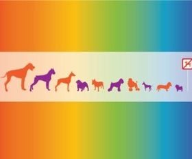 Dogs Graphics vector set