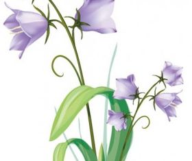 Gentian drawing shiny vector