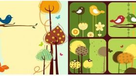 Colorful bird theme vector design