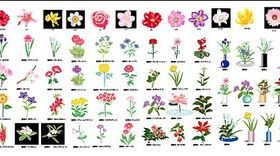 Plant flowers element vector