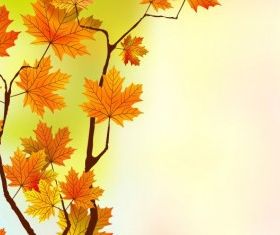 maple leaf background 04 vector