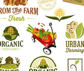 Organic Food Labels vector