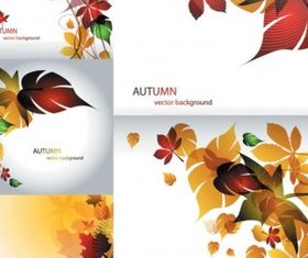 Maple leaf theme vector graphics