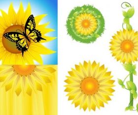 Sunflower Free vectors