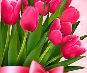 Backgrounds with Tulips design vectors
