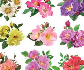 Flowers set vector