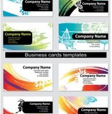 Dynamic colorful cards vector