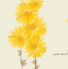 Vector set of spring flowers design graphics 05 free download
