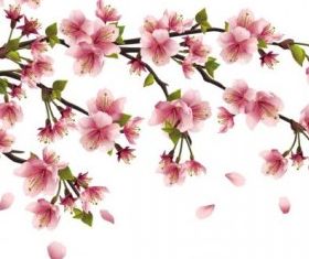 peach flower 02 vector