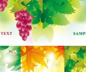 leaves flowers fruits vector