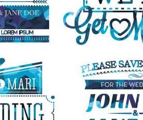 Different Blue Vintage Labels set vector