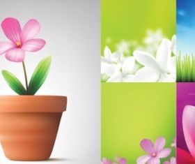 flowers and plant vectors