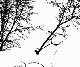Tree Silhouettes free vector