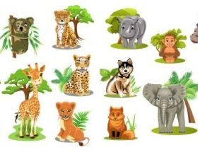 animals graphic vectors material