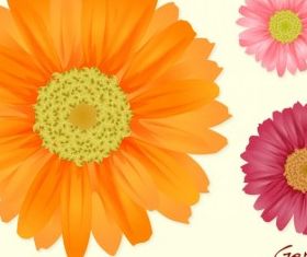 Summer Flowers graphic vector