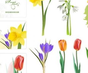 several flowers vector