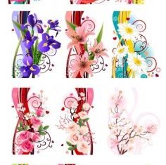 several flowers free vector design