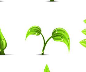 Green Plants graphic set vector