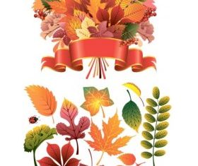 autumn leaves vector