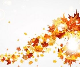 maple leaf background 01 vector graphics