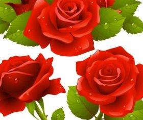 Rose graphic design vectors