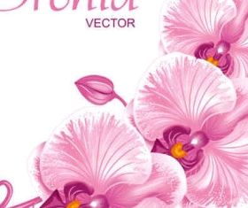Beautiful butterfly flowers background vectors