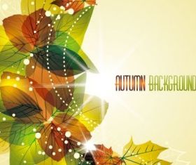 beautiful leaves card 04 vector