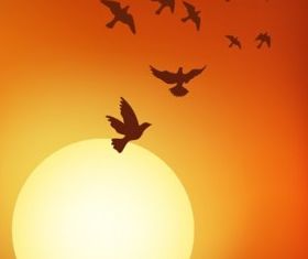 sunset under birds vectors graphic