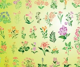 Summer Flowers graphic set vector