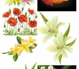 beautiful flowers vector