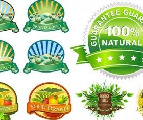 several beautiful label vector