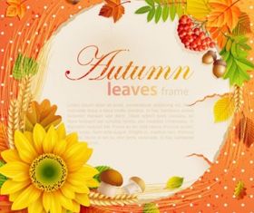 frame background 05 vectors graphic