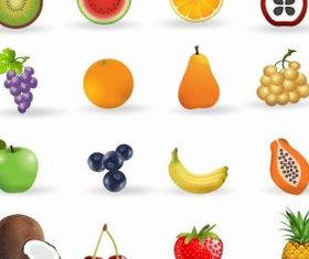 Fruit icon set shiny vector