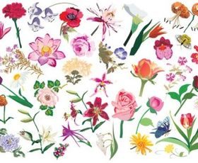 flower pattern style 02 vectors graphic