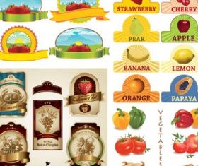 fruit theme vectors graphic